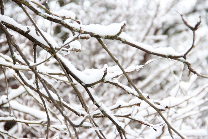 Au chaud, au bureau - La Belle Mèche