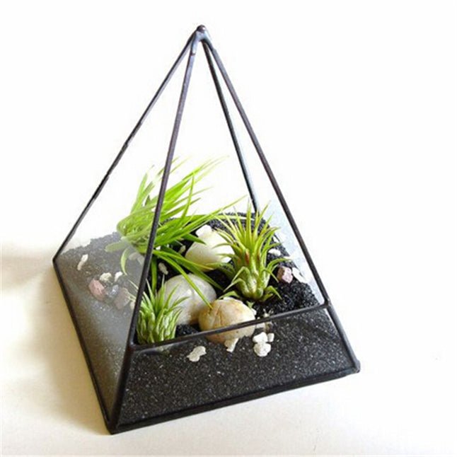 Coup de coeur de la semaine #18 : Le terrarium maison - La Belle Mèche
