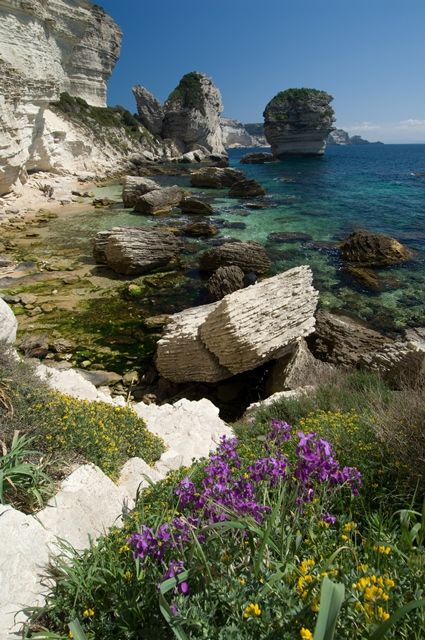 Destination l'Île de Beauté, au cœur du maquis Corse - La Belle Mèche