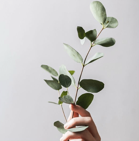 Focus sur les huiles essentielles des Apothicaire - La Belle Mèche