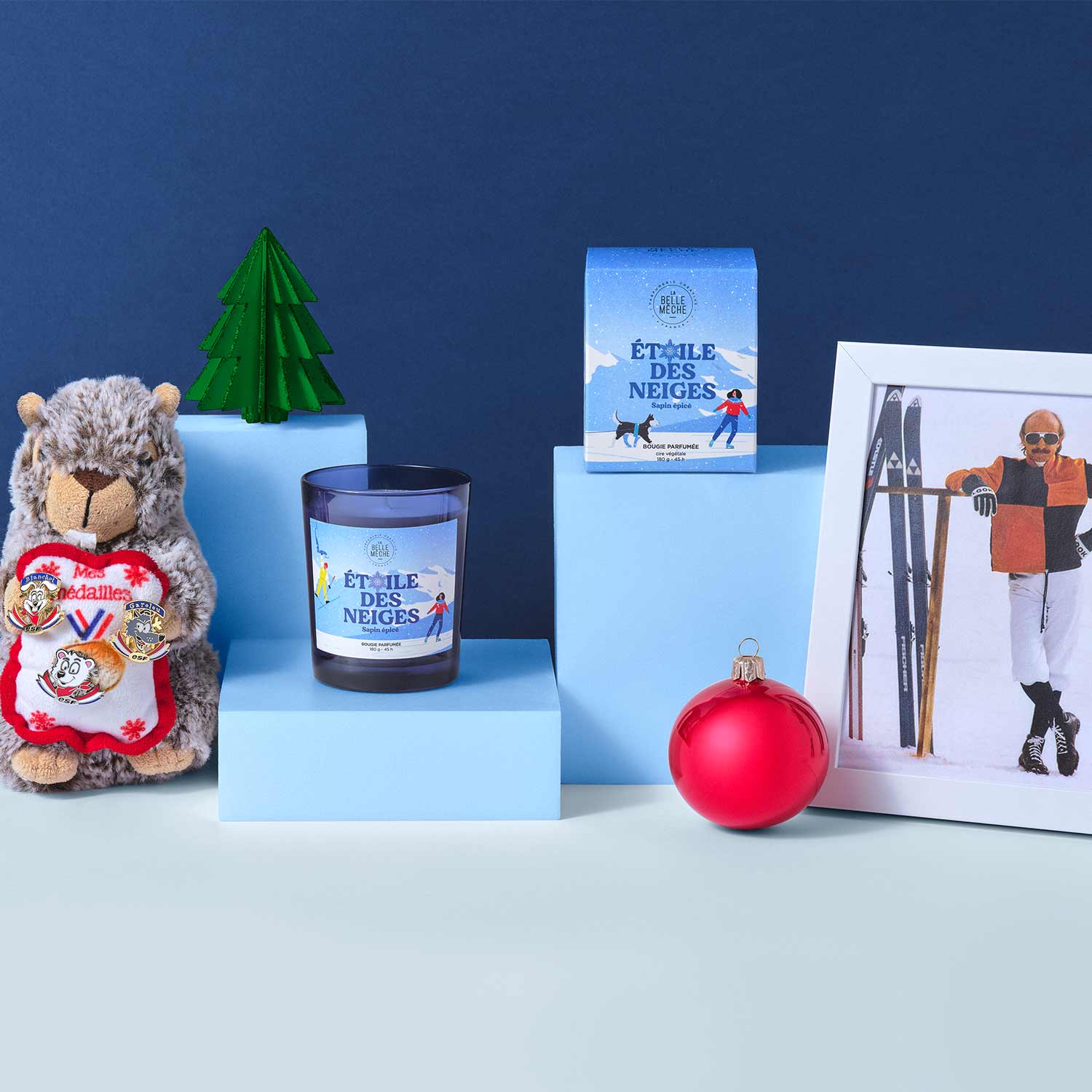 Interview de Julie Guillem, l'illustratrice d'Etoile des Neiges - La Belle Mèche