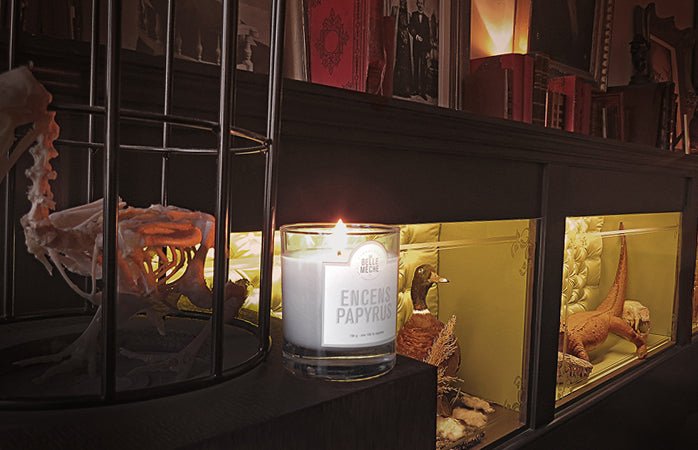 La Belle Mèche au "The Monkey Club" - La Belle Mèche