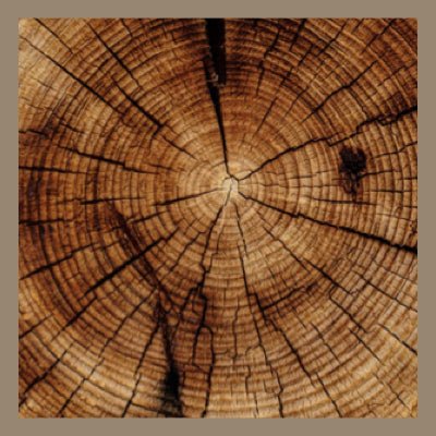 Le Rendez-vous des Parfums : Bois Fumé - La Belle Mèche