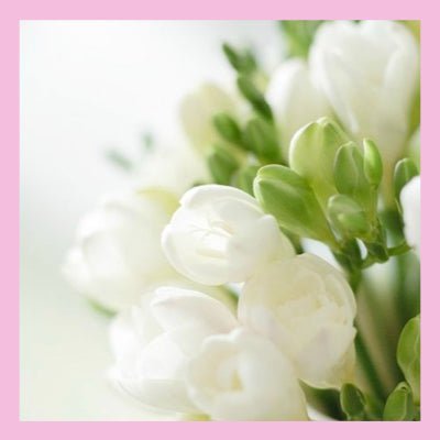 Le Rendez vous des Parfums : Freesia - La Belle Mèche