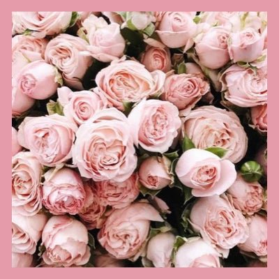 Le Rendez-Vous des Parfums : Rose Patchouli - La Belle Mèche