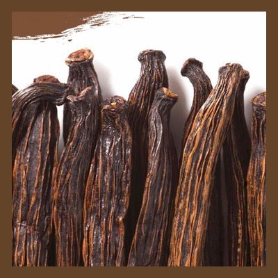 Le Rendez-vous des Parfums : Vanille Bourbon - La Belle Mèche