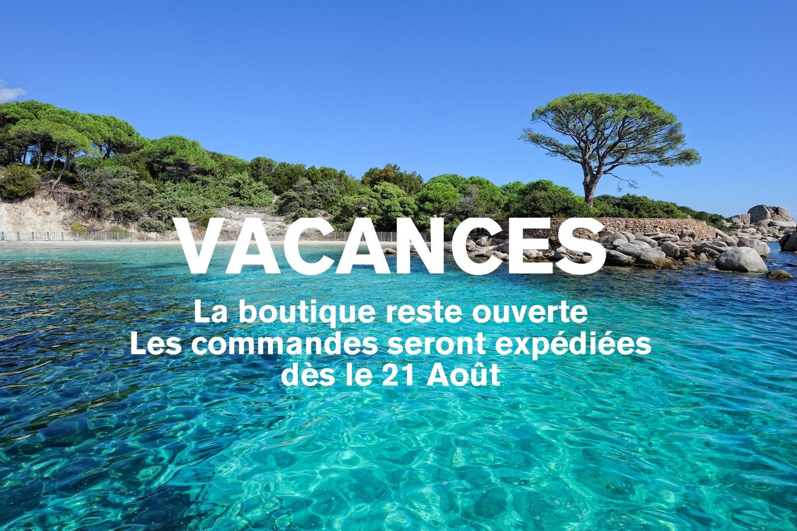 V A C A N C E S - La Belle Mèche